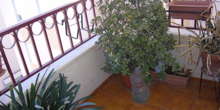 producto_1600_foto_11_g