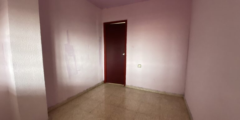 IMG 3508