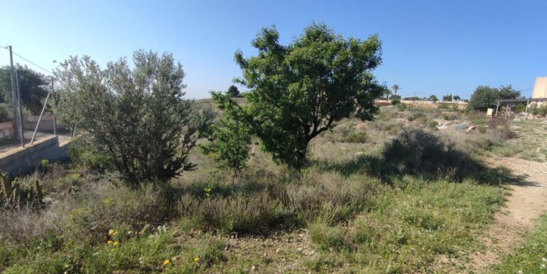 foto6 1
