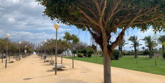san vicente