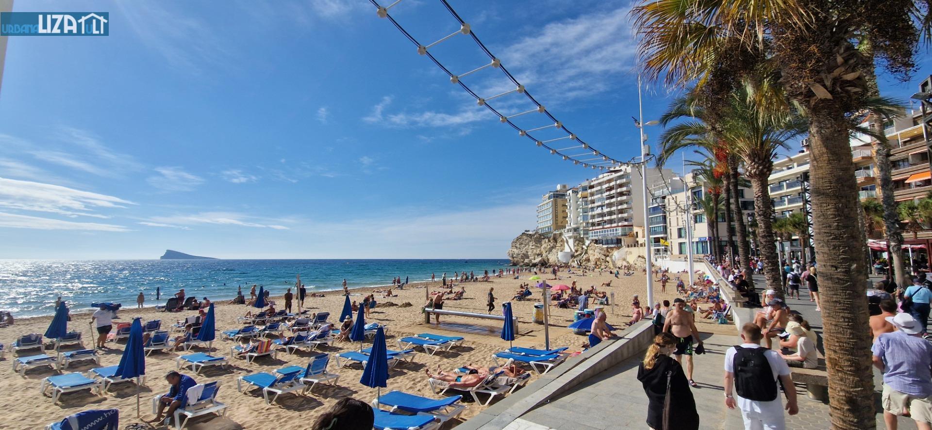 PISO – 3 DORMITORIOS – BENIDORM